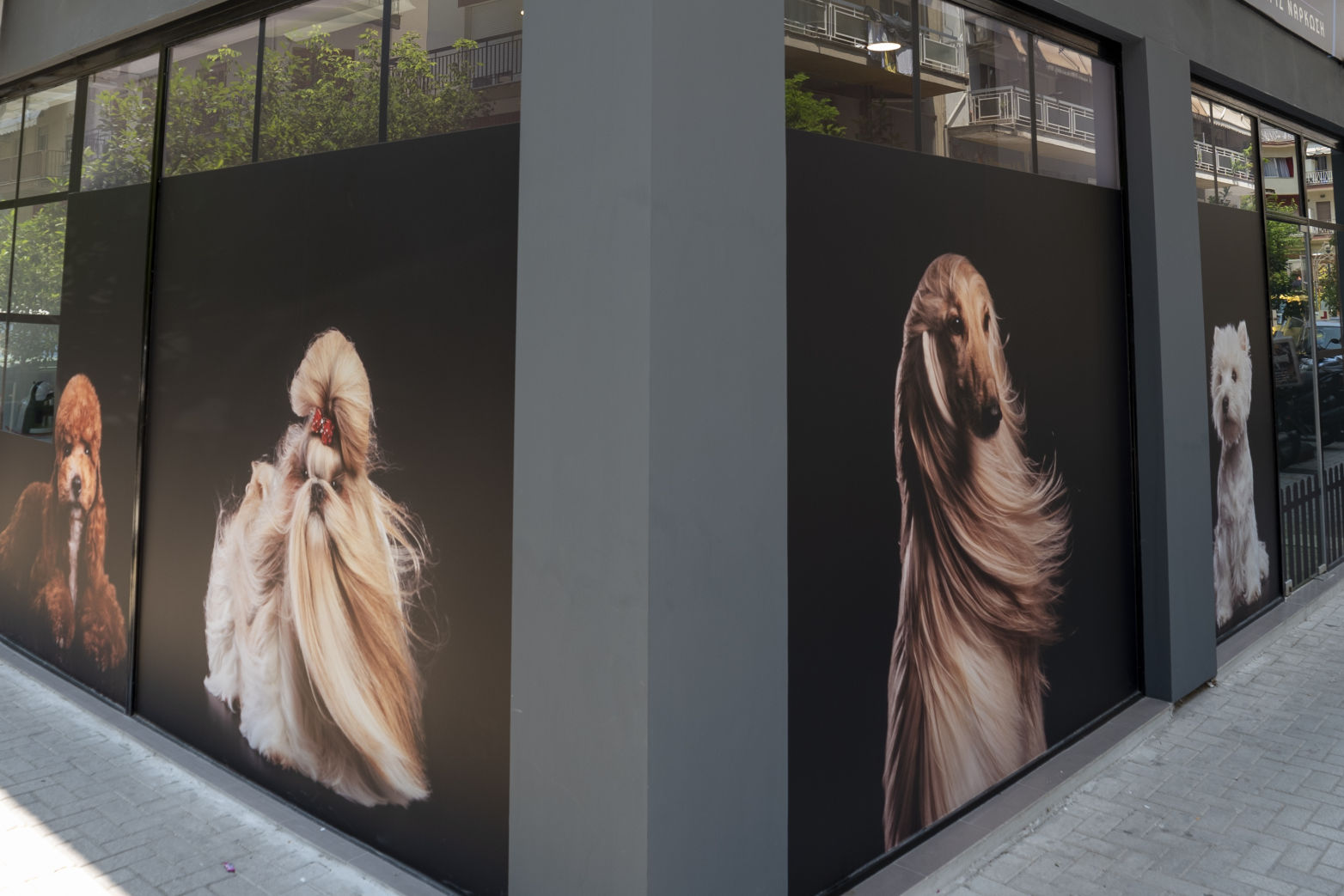 Ανακαίνιση καταστήματος • Σέρρες • 1