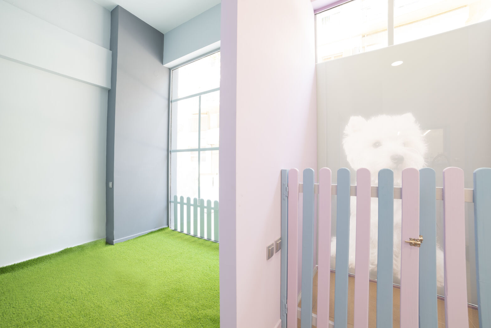 Ανακαίνιση καταστήματος • Σέρρες • 8