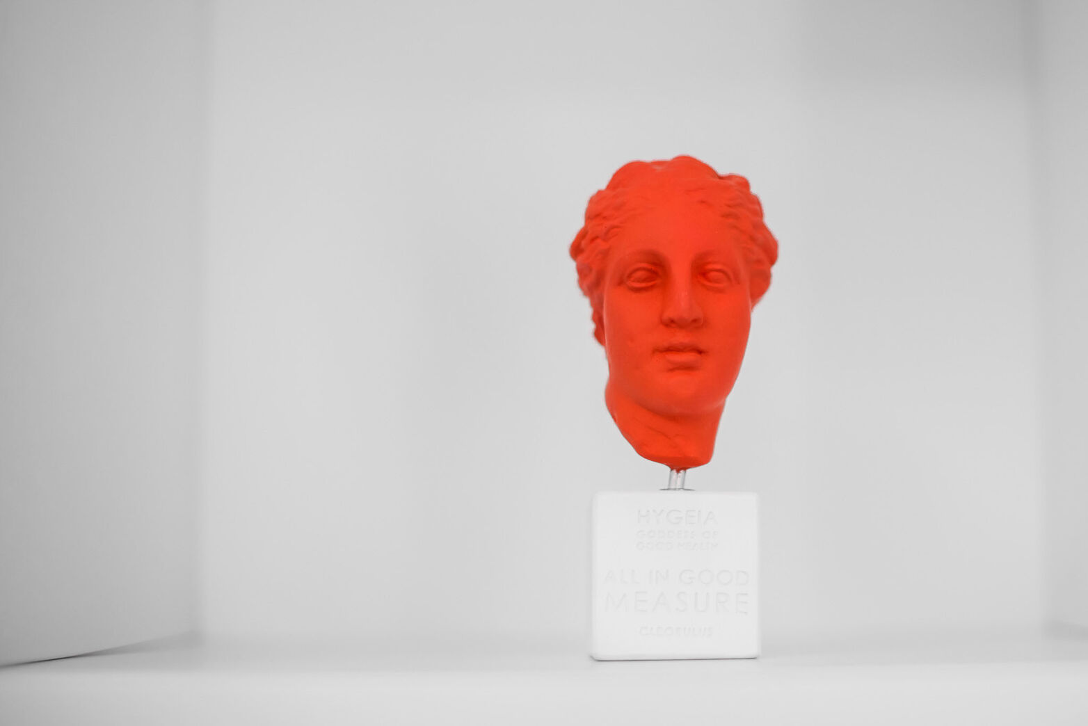 Ανακαίνιση επαγγελματικού χώρου – Δημιουργία αιματολογικού ιατρείου • Σέρρες • 16